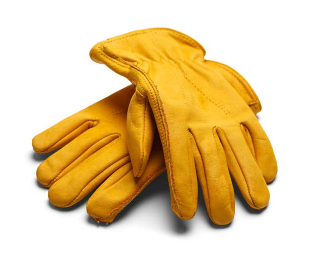 SAFETY GLOVES