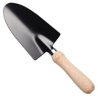 TROWEL
