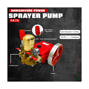 Flymax Sprayer Pump 2.5Hp Fx75